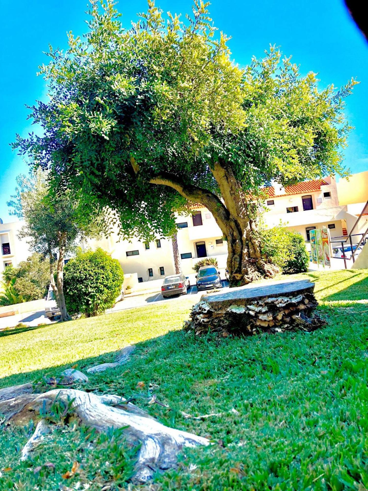 Albufeira Jardim - Apartamentos Turisticos Екстер'єр фото