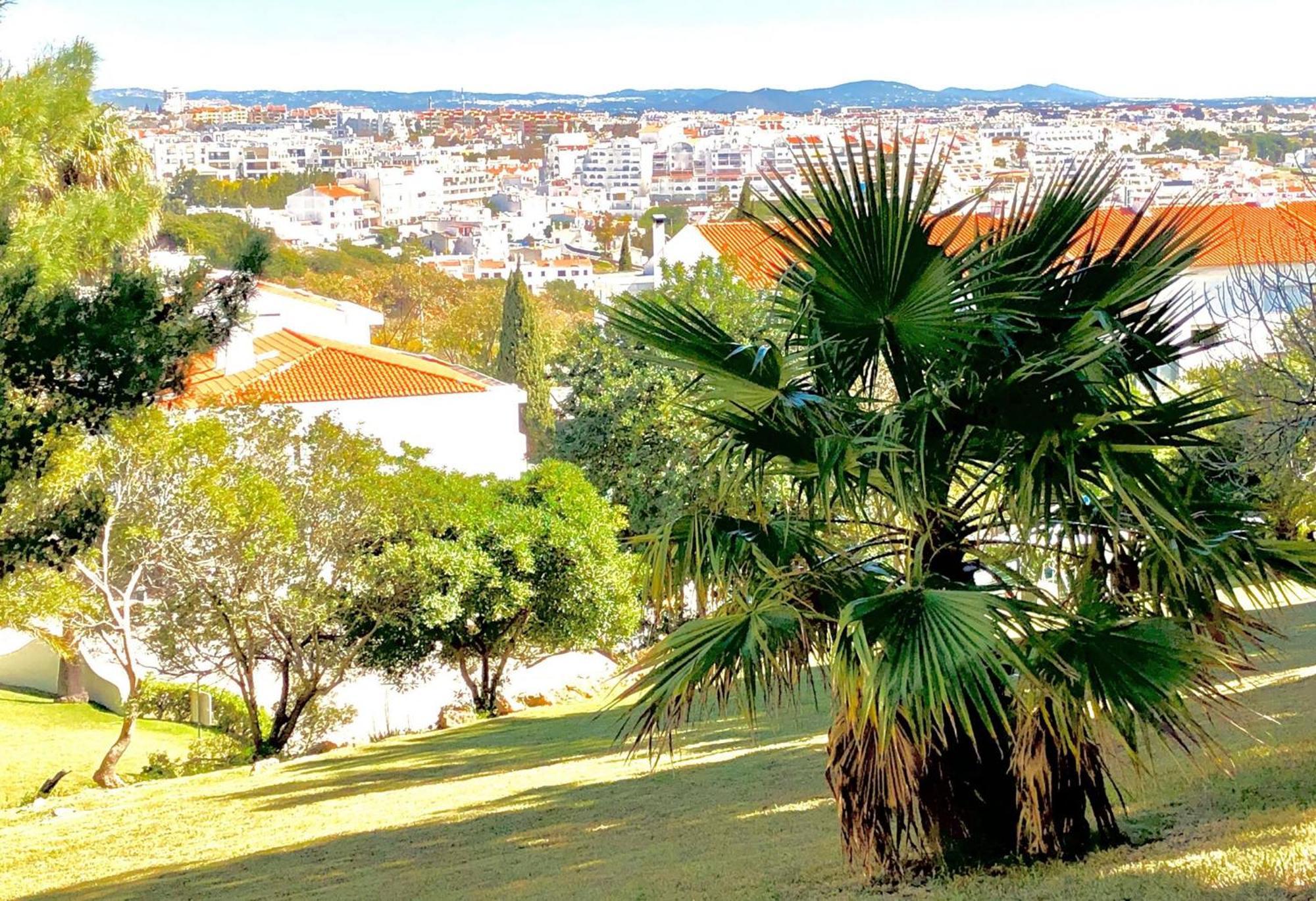 Albufeira Jardim - Apartamentos Turisticos Екстер'єр фото
